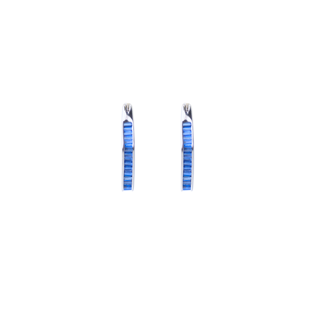 Blue Stone Hoop Earrings