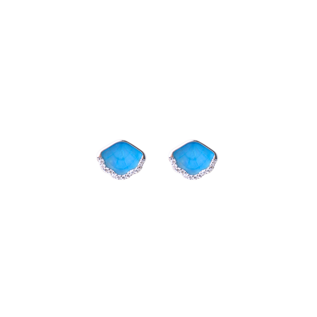Coastal Blue Shell Stud Earrings