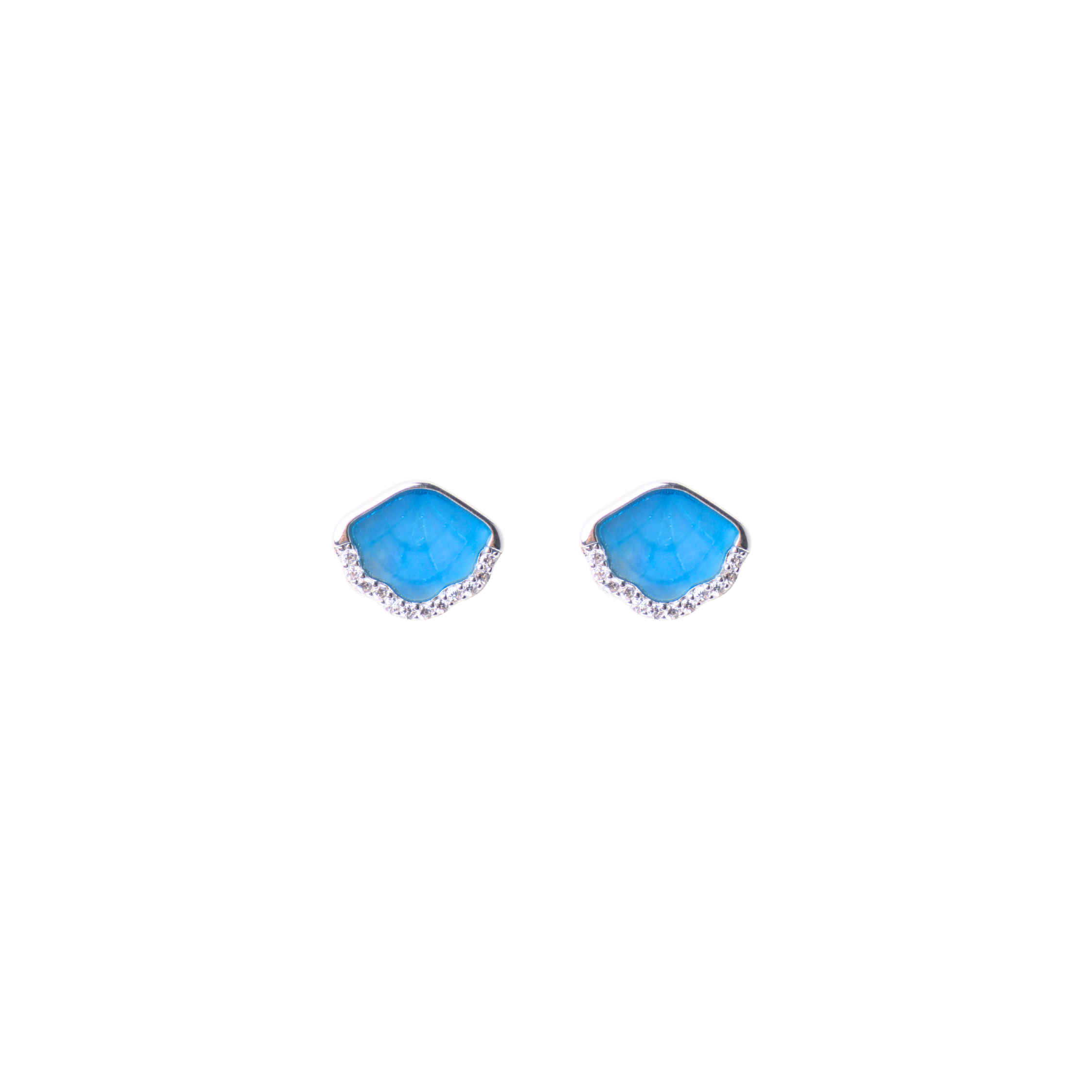 Coastal Blue Shell Stud Earrings